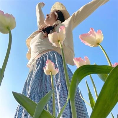 江户盗贼团五叶封面