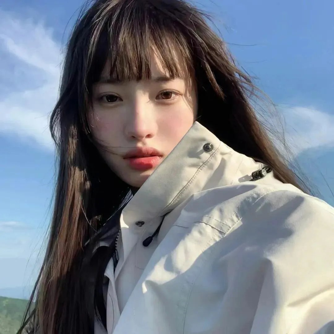 黑暗的森林封面